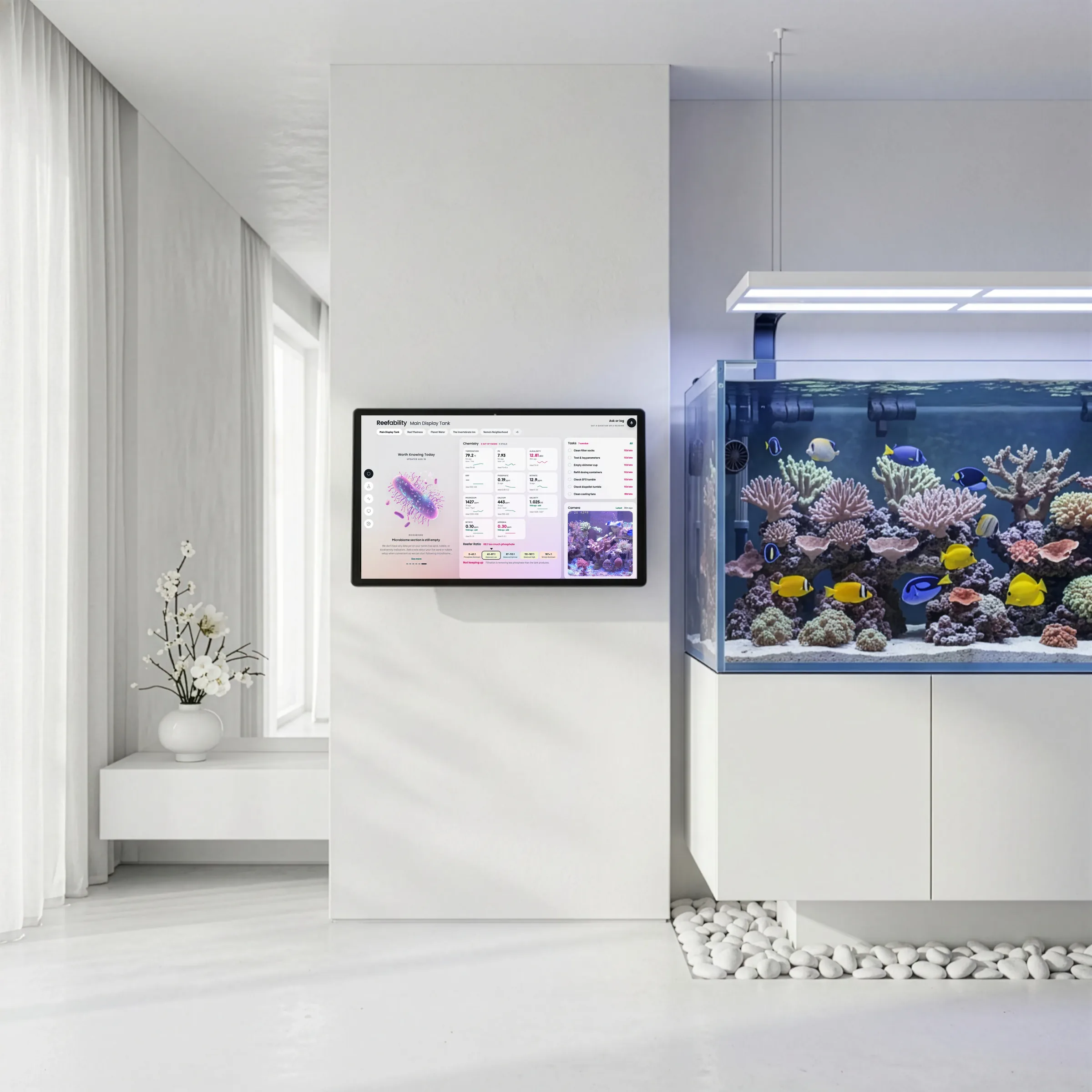 The display on a wall beside a reef aquarium at dusk